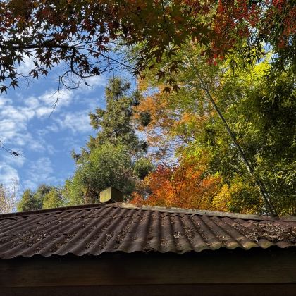 湖州+莫干山风景名胜区3日2晚私家团 湖州+莫干山风景名胜区3日2晚私家团