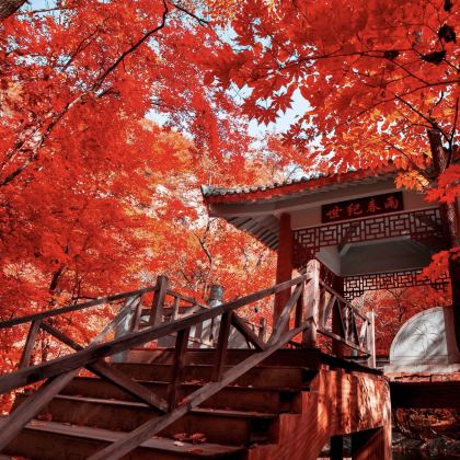 本溪+关门山国家森林公园+本溪水洞+小市一庄2日1晚拼小团 本溪+关门山国家森林公园+本溪水洞+小市一庄2日1晚拼小团