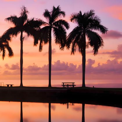 美国奥兰多+迈阿密9日8晚私家团 美国奥兰多+迈阿密9日8晚私家团