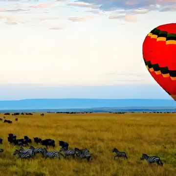 肯尼亚+安波塞利国家公园+纳库鲁湖国家公园+马赛马拉国家保护区+奈瓦沙湖10日私家团 肯尼亚+安波塞利国家公园+纳库鲁湖国家公园+马赛马拉国家保护区+奈瓦沙湖10日私家团