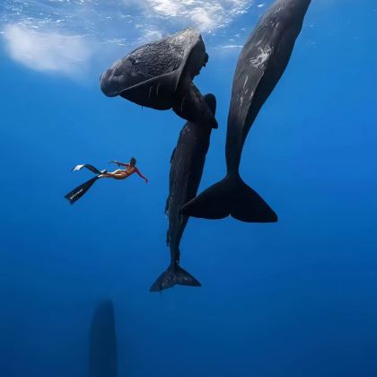 毛里求斯6日5晚拼小团 毛里求斯6日5晚拼小团