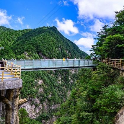 江西宜春+宜春明月山旅游区+南惹村+仰山栖隐禅寺3日2晚跟团游 江西宜春+宜春明月山旅游区+南惹村+仰山栖隐禅寺3日2晚跟团游