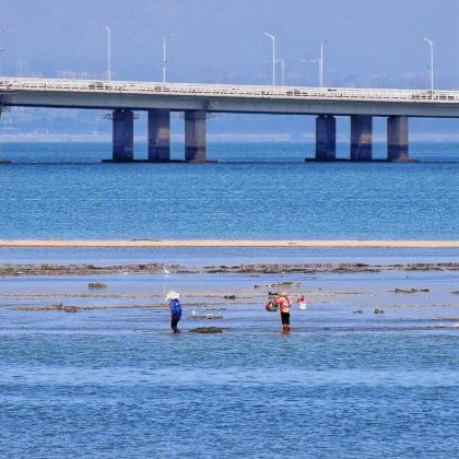 厦门+鼓浪屿6日5晚自由行 厦门+鼓浪屿6日5晚自由行