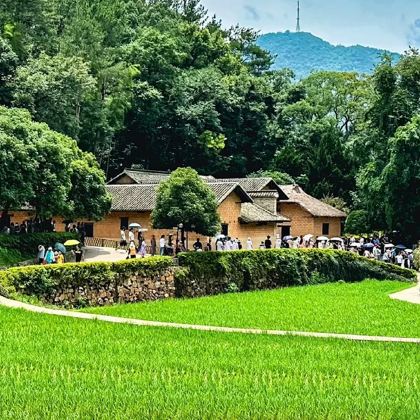 长沙+韶山+张家界+天门山+凤凰5日4晚跟团游 长沙+韶山+张家界+天门山+凤凰5日4晚跟团游