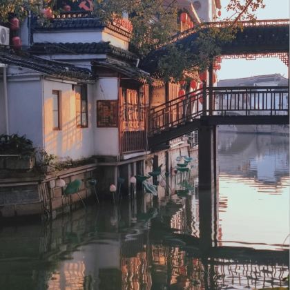 上海+朱家角古镇景区2日1晚私家团 上海+朱家角古镇景区2日1晚私家团