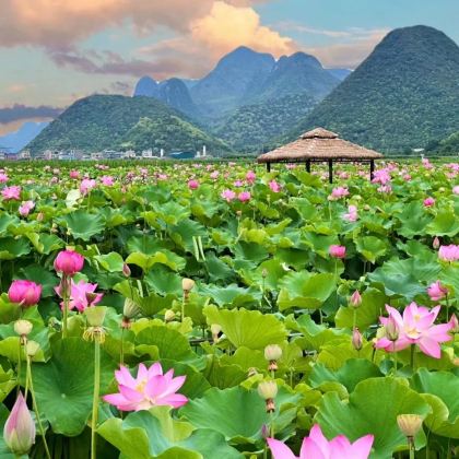昆明+普者黑景区+建水古城+弥勒+元阳+抚仙湖9日8晚私家团 昆明+普者黑景区+建水古城+弥勒+元阳+抚仙湖9日8晚私家团