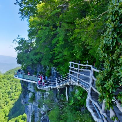 汉中+青木川古镇+紫柏山国家森林公园+张良庙+勉县武侯祠博物馆+情人谷+狮子沟牧场2日1晚私家团 汉中+青木川古镇+紫柏山国家森林公园+张良庙+勉县武侯祠博物馆+情人谷+狮子沟牧场2日1晚私家团