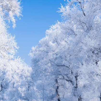 沈阳+长白山+延吉4日3晚拼小团 沈阳+长白山+延吉4日3晚拼小团