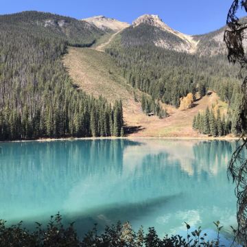 加拿大+美国26日跟团游 加拿大+美国26日跟团游