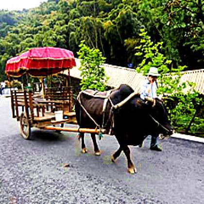 中国浙江安吉2日1晚自由行