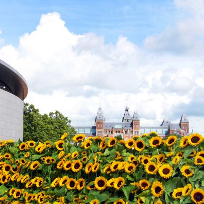 荷兰11日跟团游 荷兰11日跟团游