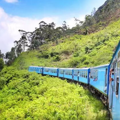 斯里兰卡7日跟团游 斯里兰卡7日跟团游