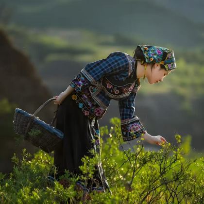 云南昆明+云南哀牢山国家级自然保护区+临沧+沧源+普洱+西盟+澜沧+景迈山8日7晚拼小团 云南昆明+云南哀牢山国家级自然保护区+临沧+沧源+普洱+西盟+澜沧+景迈山8日7晚拼小团