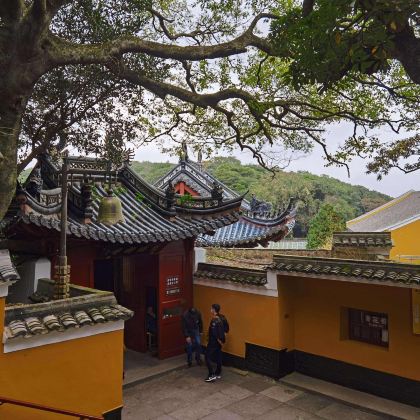 浙江宁波+舟山普陀山风景区4日3晚私家团 浙江宁波+舟山普陀山风景区4日3晚私家团