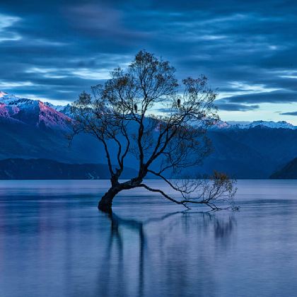 新西兰奥克兰大区+基督城+皇后镇+达尼丁13日12晚私家团 新西兰奥克兰大区+基督城+皇后镇+达尼丁13日12晚私家团