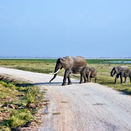 肯尼亚12日11晚私家团 肯尼亚12日11晚私家团