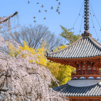 日本轻井泽町+春日部市+日光市+川越市7日6晚私家团 日本轻井泽町+春日部市+日光市+川越市7日6晚私家团