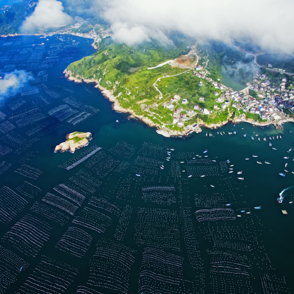 中国浙江枸杞景区3日自由行 中国浙江枸杞景区3日自由行
