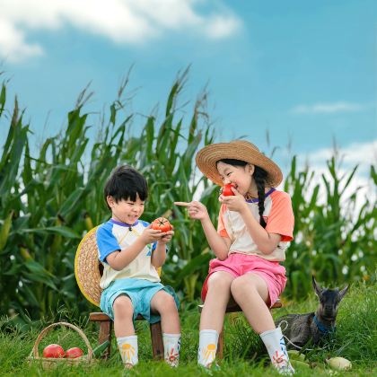 长沙+天门山+张家界国家森林公园+凤凰古城+芙蓉镇15日14晚私家团 长沙+天门山+张家界国家森林公园+凤凰古城+芙蓉镇15日14晚私家团