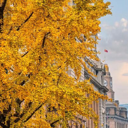 上海2日1晚私家团 上海2日1晚私家团