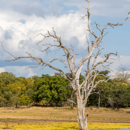 坦桑尼亚9日8晚私家团 坦桑尼亚9日8晚私家团
