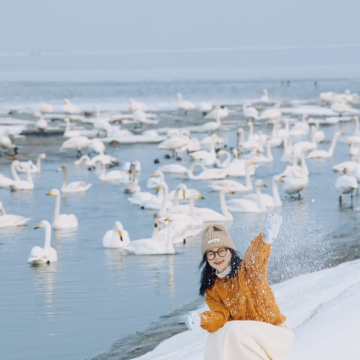 青岛+威海+烟台+蓬莱5日4晚跟团游 青岛+威海+烟台+蓬莱5日4晚跟团游