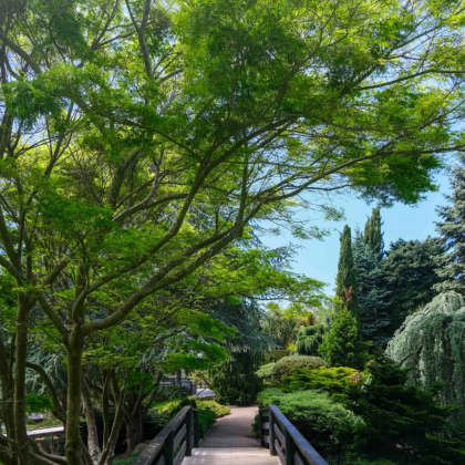 澳大利亚悉尼+墨尔本7日5晚私家团 澳大利亚悉尼+墨尔本7日5晚私家团