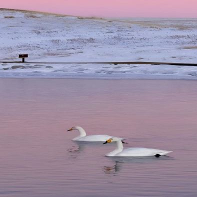 新疆乌鲁木齐+喀什市+喀什古城+盘龙古道+阿克苏市+库车+库尔勒9日8晚自由行 新疆乌鲁木齐+喀什市+喀什古城+盘龙古道+阿克苏市+库车+库尔勒9日8晚自由行