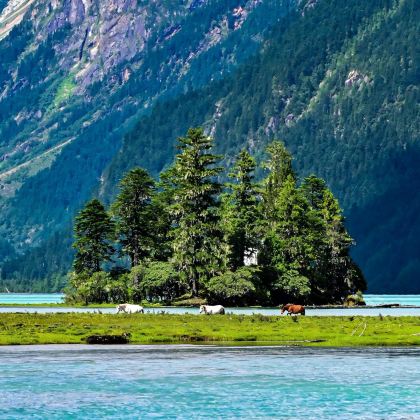 拉萨+林芝+波密+墨脱+巴松措+新措+果果塘大拐弯12日7晚跟团游 拉萨+林芝+波密+墨脱+巴松措+新措+果果塘大拐弯12日7晚跟团游