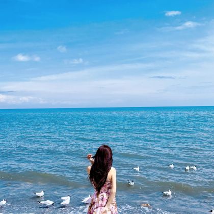 青海+敦煌+青海湖景区+茶卡盐湖+莫高窟6日5晚拼小团 青海+敦煌+青海湖景区+茶卡盐湖+莫高窟6日5晚拼小团