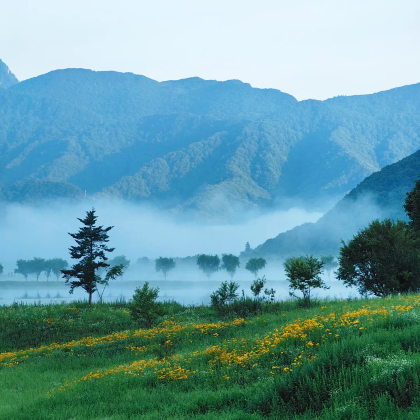 湖北+神农架风景区+三峡人家+清江画廊5日4晚跟团游 湖北+神农架风景区+三峡人家+清江画廊5日4晚跟团游