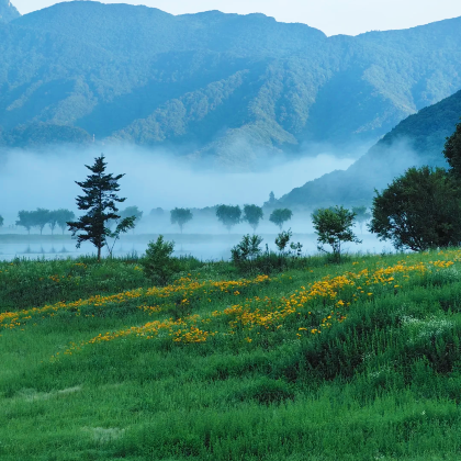 湖北+神农架风景区+三峡大坝旅游区4日3晚跟团游 湖北+神农架风景区+三峡大坝旅游区4日3晚跟团游