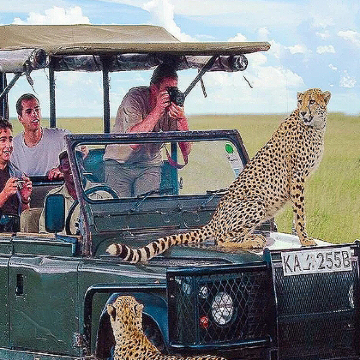 肯尼亚+坦桑尼亚+安波塞利国家公园+塞伦盖蒂国家公园13日11晚私家团 肯尼亚+坦桑尼亚+安波塞利国家公园+塞伦盖蒂国家公园13日11晚私家团