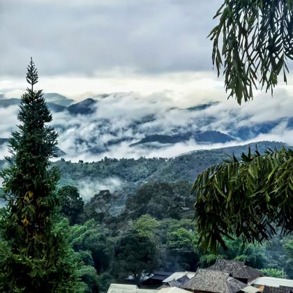 云南普洱+临沧+沧源+西盟+孟连+澜沧8日7晚私家团 云南普洱+临沧+沧源+西盟+孟连+澜沧8日7晚私家团