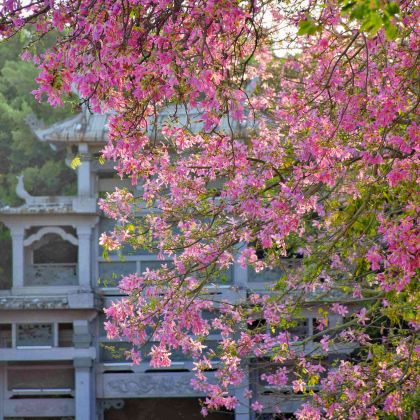霞浦+泉州6日5晚私家团 霞浦+泉州6日5晚私家团