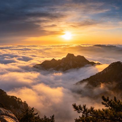 山东济南+曲阜+泰山风景区5日4晚跟团游 山东济南+曲阜+泰山风景区5日4晚跟团游