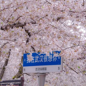 武汉+黄鹤楼3日2晚自由行 武汉+黄鹤楼3日2晚自由行