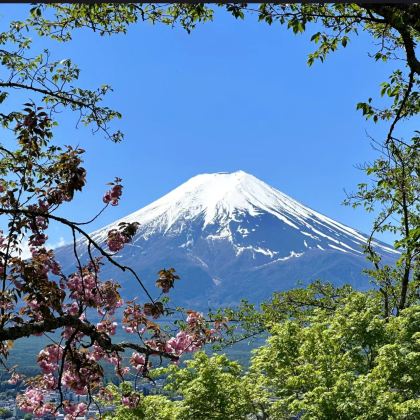 日本大阪府+东京+奈良+富士山6日5晚跟团游