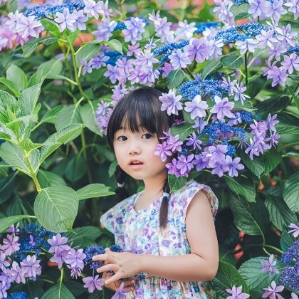 日本大阪+京都+奈良4日3晚私家团 日本大阪+京都+奈良4日3晚私家团