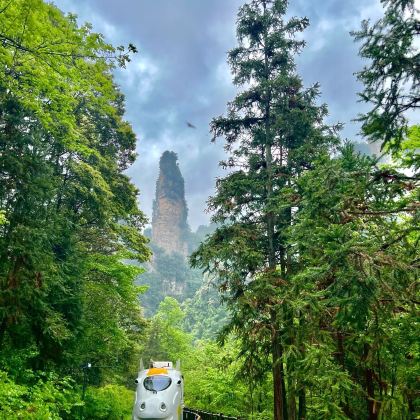 张家界国家森林公园+凤凰古城+芙蓉镇+天门山4日3晚私家团 张家界国家森林公园+凤凰古城+芙蓉镇+天门山4日3晚私家团