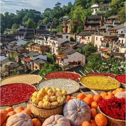 江西婺源+宏村+西递+塔川3日2晚自由行 江西婺源+宏村+西递+塔川3日2晚自由行