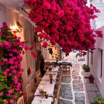 希腊9日8晚私家团 希腊9日8晚私家团