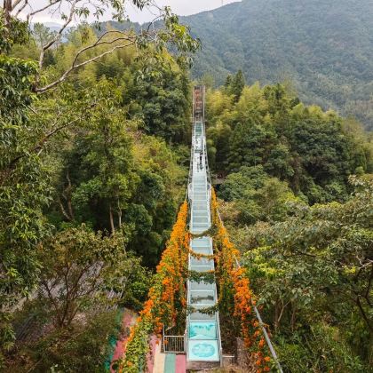 高州仙人洞景区+玉湖风景区+信宜窦州古城景区5日4晚私家团 高州仙人洞景区+玉湖风景区+信宜窦州古城景区5日4晚私家团