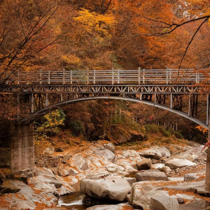 成都+剑门关风景区+光雾山旅游景区+阆中古城5日4晚私家团 成都+剑门关风景区+光雾山旅游景区+阆中古城5日4晚私家团
