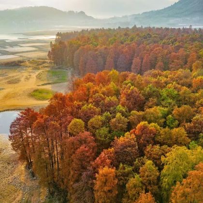 余姚四明湖水杉+四明山国家森林公园2日1晚私家团 余姚四明湖水杉+四明山国家森林公园2日1晚私家团