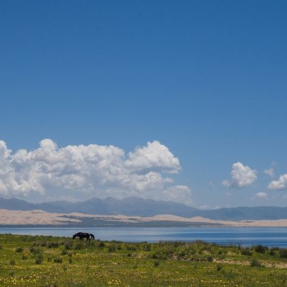 青海湖景区+茶卡盐湖+青海3日2晚私家团 青海湖景区+茶卡盐湖+青海3日2晚私家团