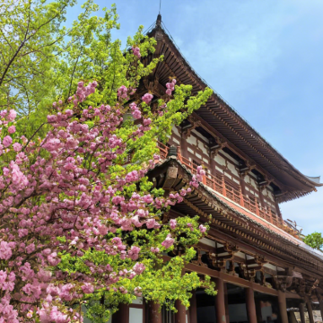 西安4日3晚私家团 西安4日3晚私家团