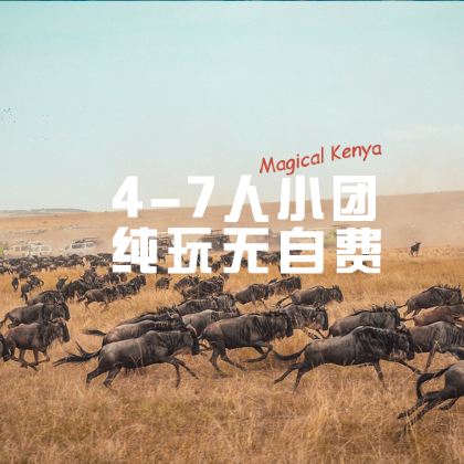 肯尼亚内罗毕+安博塞利+奈瓦沙+纳库鲁+马赛马拉国家保护区7日6晚私家团