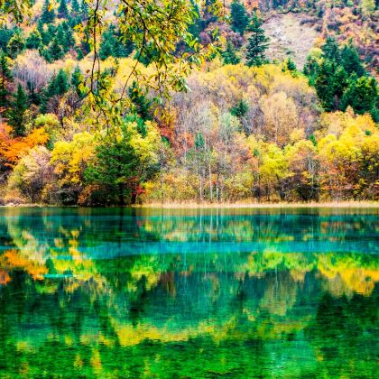 乐山+峨眉山+九寨沟+黄龙风景名胜区+都江堰+成都大熊猫繁育研究基地+三星堆博物馆8日7晚私家团 乐山+峨眉山+九寨沟+黄龙风景名胜区+都江堰+成都大熊猫繁育研究基地+三星堆博物馆8日7晚私家团