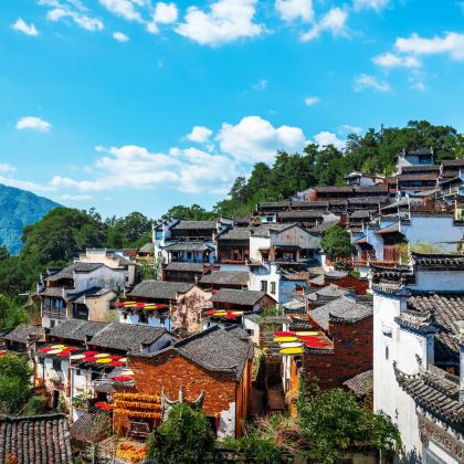 江西婺源+三清山风景区+望仙谷3日2晚跟团游 江西婺源+三清山风景区+望仙谷3日2晚跟团游